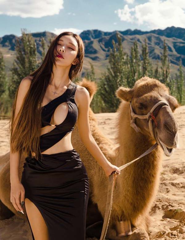 多伦多外围招聘